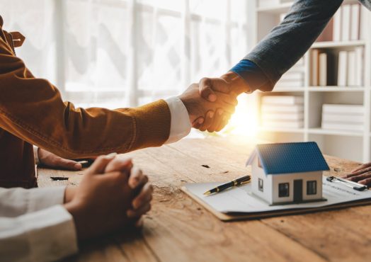 Vente et Achat Immobilier à Saly